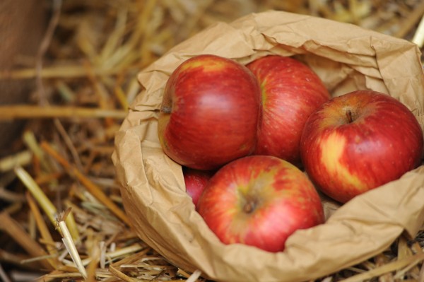 La frutticoltura dell'ovest Piemonte