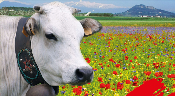 Appuntamento con la  23^ edizione di  CAVOUR, CARNE DI RAZZA PIEMONTESE