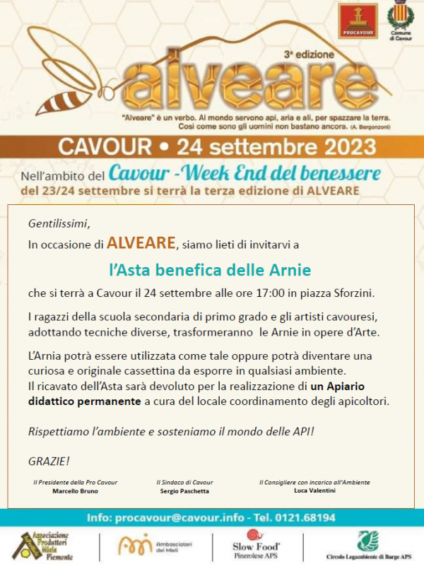 Asta benefica delle Arnie