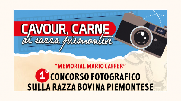 Concorso fotografico