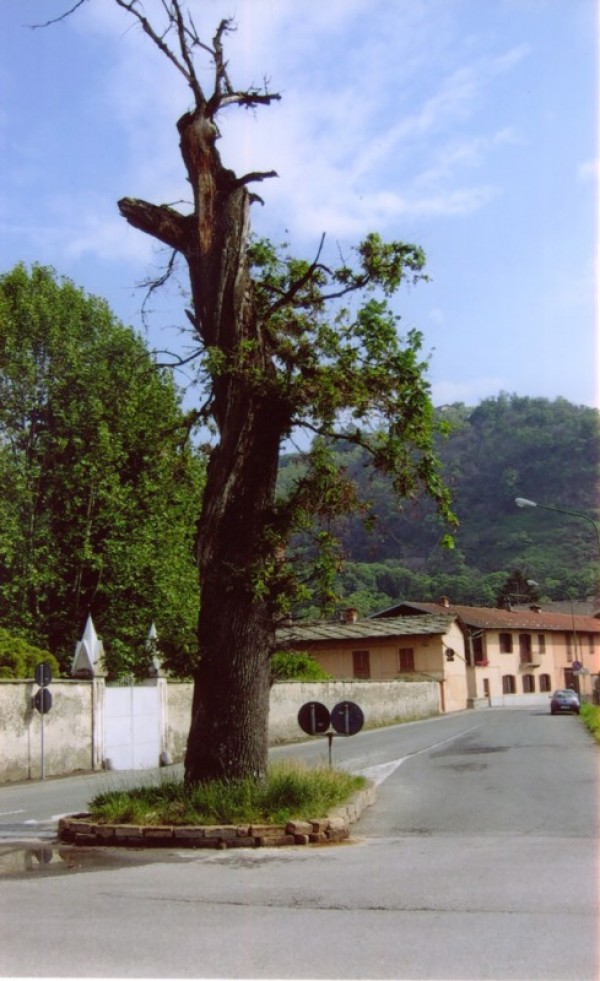 15 - C'era una volta 