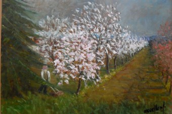 Morello Michele