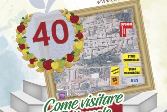 Come visitare TUTTOMELE