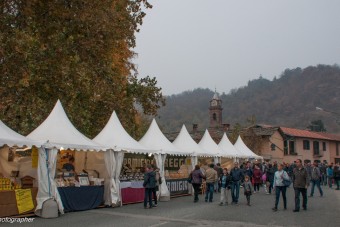 Gli espositori 