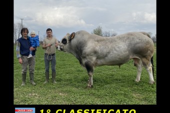 ECCO I  VINCITORI  del  CONCORSO FOTOGRAFICO 