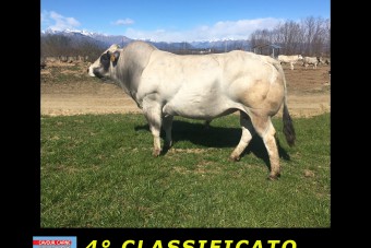 ECCO I  VINCITORI  del  CONCORSO FOTOGRAFICO 