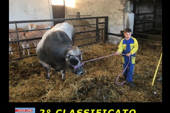 ECCO I  VINCITORI  del  CONCORSO FOTOGRAFICO 