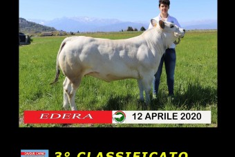 ECCO I  VINCITORI  del  CONCORSO FOTOGRAFICO 