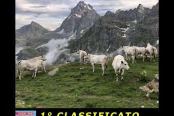 ECCO I  VINCITORI  del  CONCORSO FOTOGRAFICO 