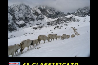 ECCO I  VINCITORI  del  CONCORSO FOTOGRAFICO 