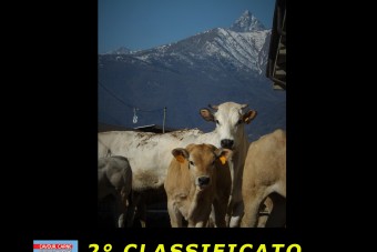 ECCO I  VINCITORI  del  CONCORSO FOTOGRAFICO 