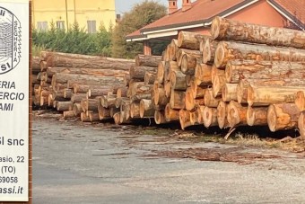 1^ Asta del legname piemontese di qualità