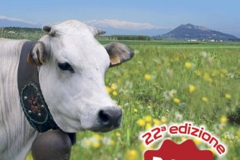 Vi aspettiamo a  "Cavour Carne di razza Piemontese 22^ edizione" 