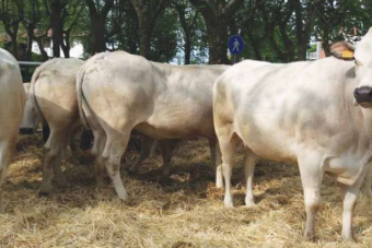 Visite alle aziende agricole