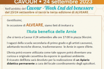 Asta benefica delle Arnie