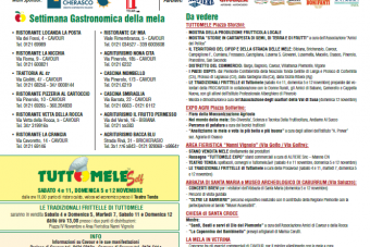 Manifesto Istituzionale