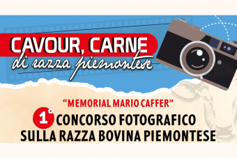 Concorso fotografico