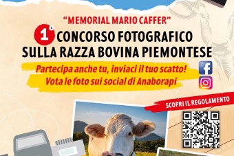 Concorso fotografico