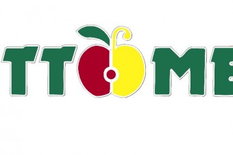 LOGO TUTTOMELE