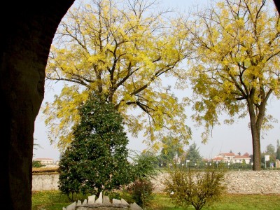 0001 - Raccolta: Cavour e dintorni / Abbazia di Santa (Ph. S. Miletto)