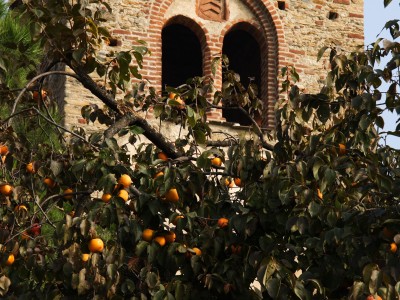 0001 - Raccolta: Cavour e dintorni / Abbazia di Santa (Ph. S. Miletto)