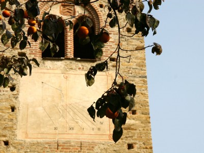 0001 - Raccolta: Cavour e dintorni / Abbazia di Santa (Ph. S. Miletto)