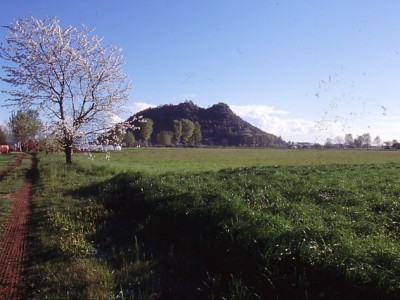 0001 - Raccolta: Cavour e dintorni / Cavour Paesaggi