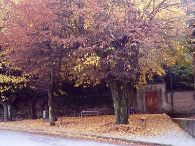 0001 - Raccolta: Cavour e dintorni / Cavour centro storico