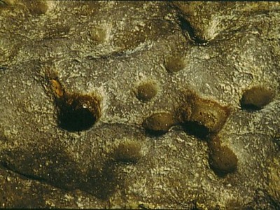 0002 - La Rocca