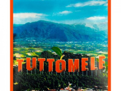 0004 - Tuttomele - Gagliardetti dal 1980