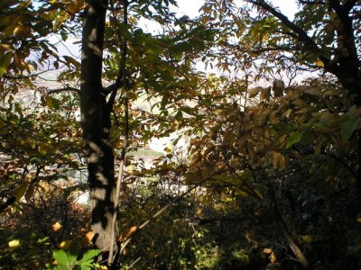 2007 - Rocca panorami
