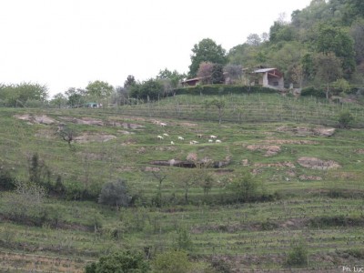 2009 - GustaCavour
