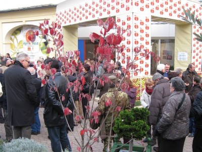 2009 - Tuttomele