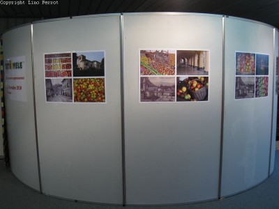 2009 - Tuttomele