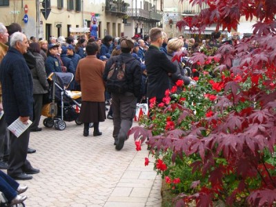2009 - Tuttomele
