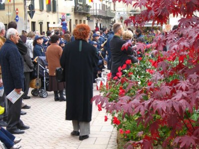 2009 - Tuttomele