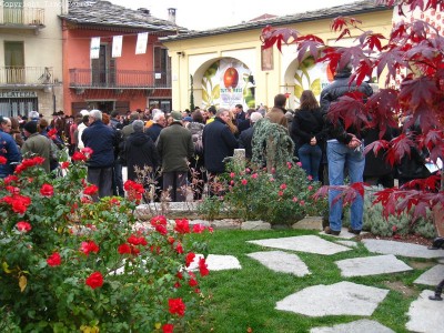 2009 - Tuttomele