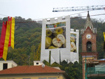2009 - Tuttomele