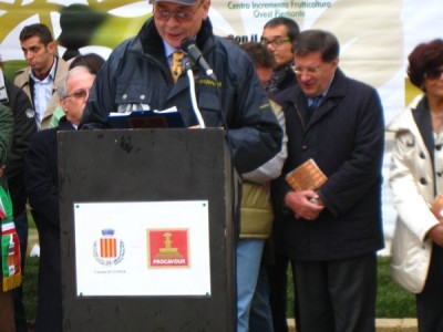 2009 - Tuttomele