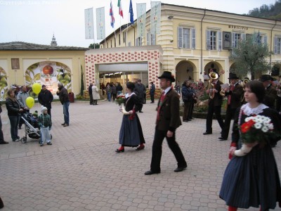 2009 - Tuttomele