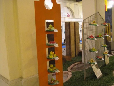 2009 - Tuttomele
