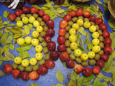 2009 - Tuttomele