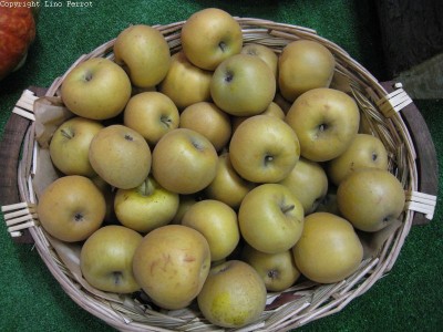 2009 - Tuttomele