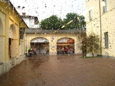 2009 - Tuttomele