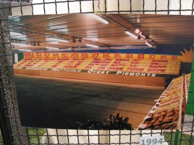 2009 - Tuttomele