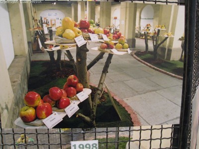 2009 - Tuttomele