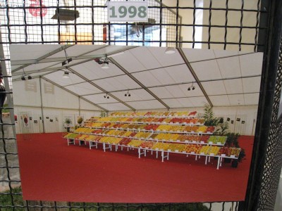2009 - Tuttomele