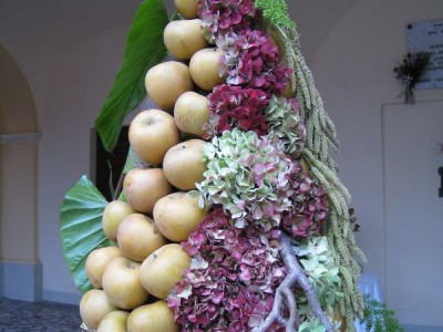 2009 - Tuttomele
