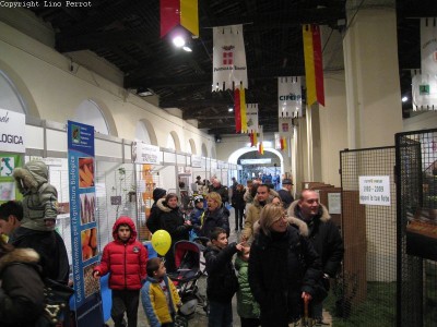 2009 - Tuttomele