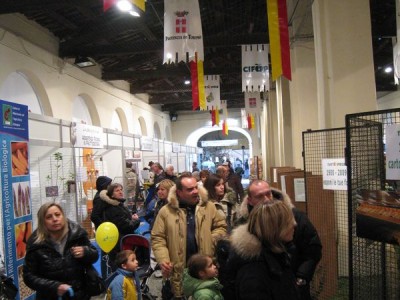 2009 - Tuttomele